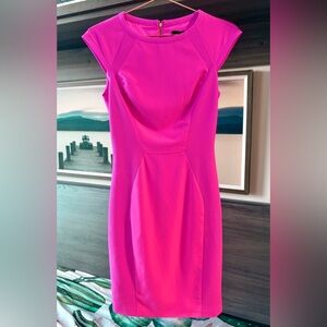 Ted Baker jineen dress vibrant pink Ted sz 1 (US 4)